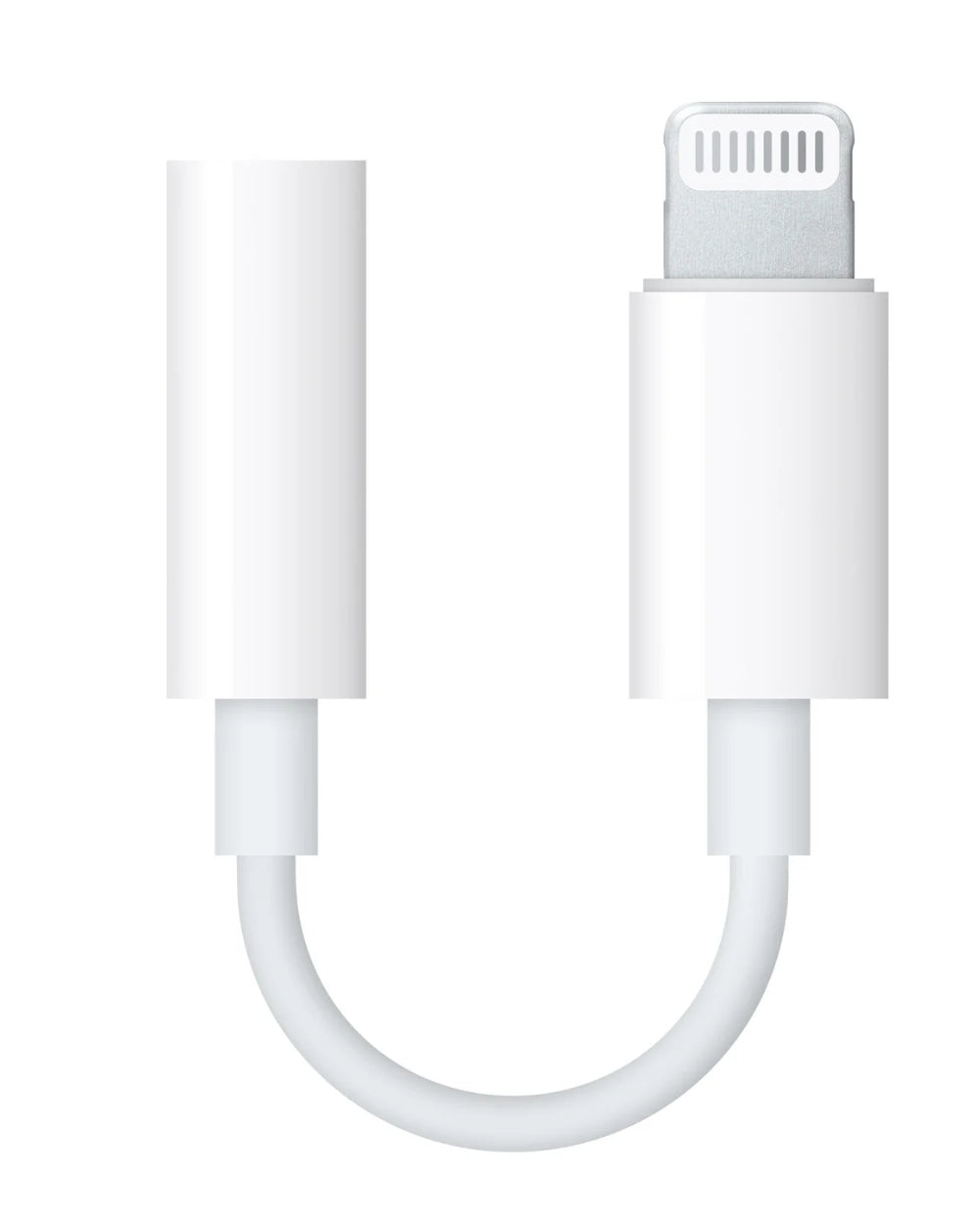 Lightning to aux cable
